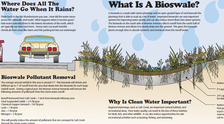 Bioswale Stormwater BMPs