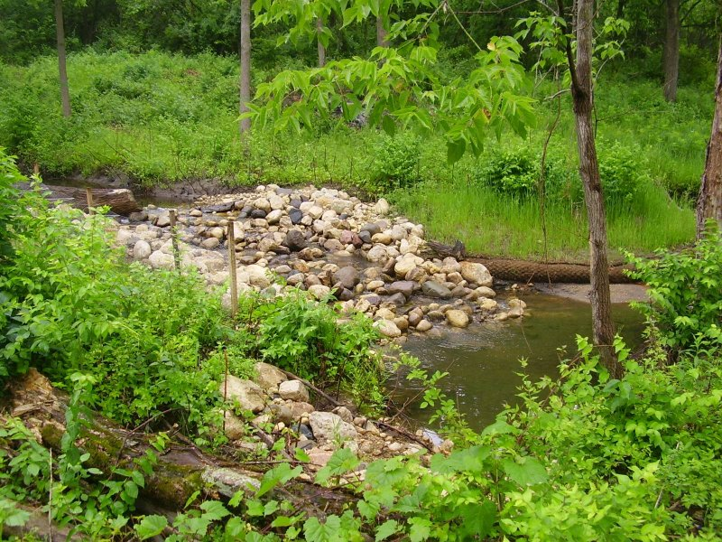 Dixie Creek Restoration Project